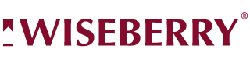 Digital Marketing Agency, Website Design & Development, Social Media Marketing, SEO Services for Real Estate Agents - Wiseberry