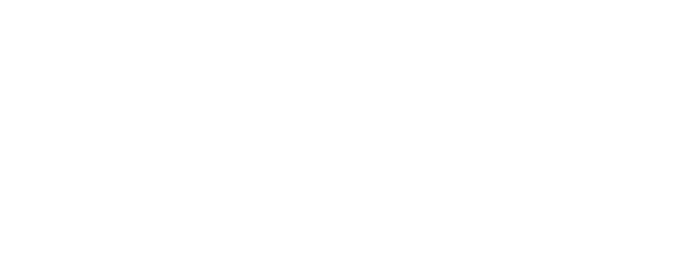 the blue space logo