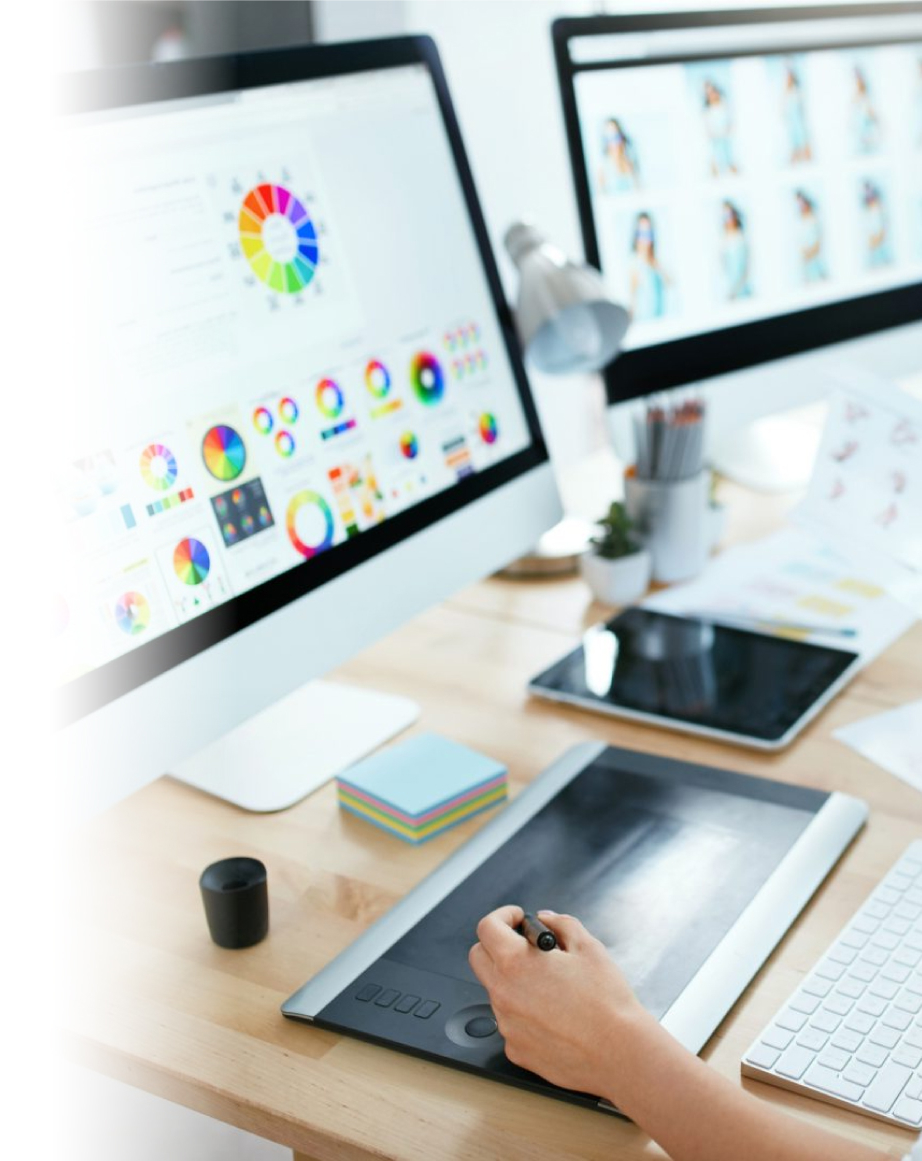 website design & development for franchise australia