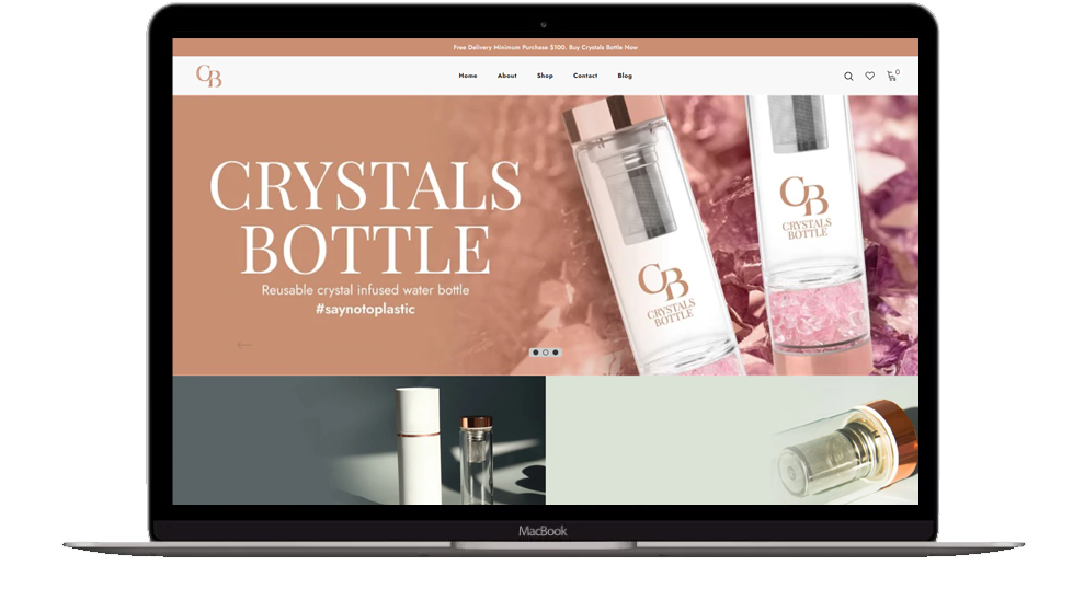 Ecommerce Website Development