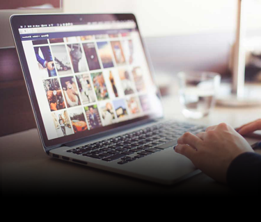 franchise website design development sydney