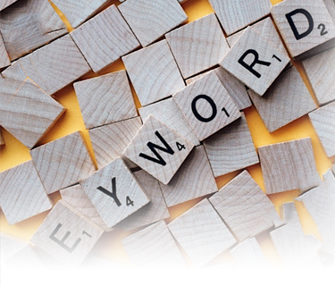 professional seo audit services