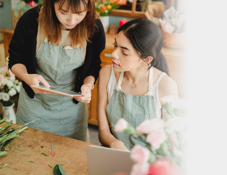 Website Design Adelaide