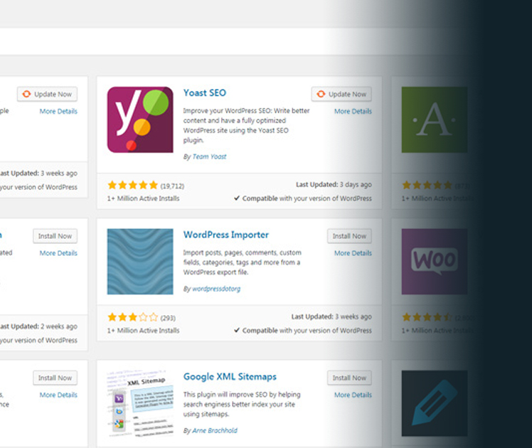 Wordpress Web Design