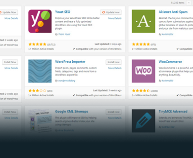 Wordpress Websites Design