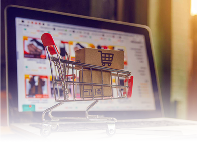 Company Website Development
