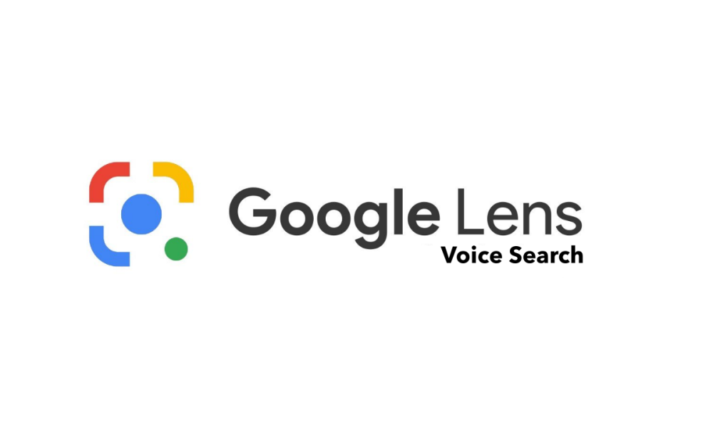 Google Search Outage Strategies for Local Business Web Traffic Resilience