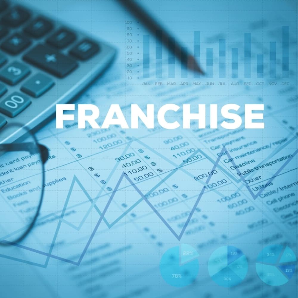 Google Ads Franchise Optimisation Performance Max Lead Generation