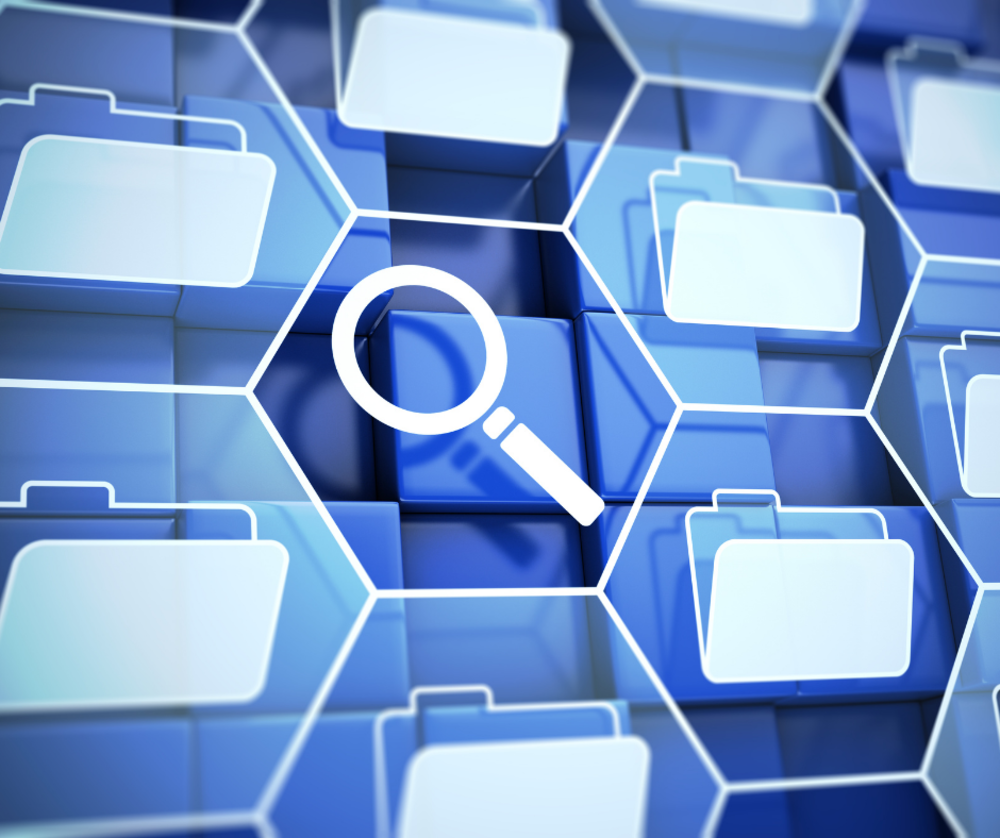 Search Everywhere Strategy for Local Business Growth  SEO Expansion